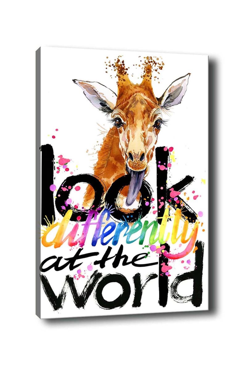 Koristeellinen Canvastaulu 50x70 cm, Monivärinen