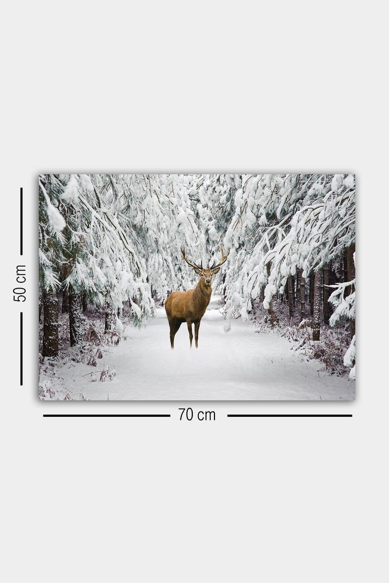 Koristeellinen Canvastaulu 50x70 cm - Monivärinen - Sisustustuotteet - Taulu & taide - Canvas-taulu