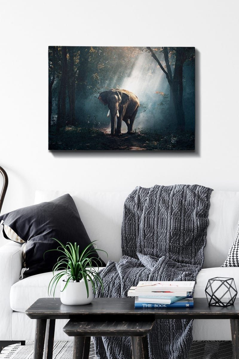 Koristeellinen Canvastaulu 50x70 cm - Monivärinen - Sisustustuotteet - Taulu & taide - Canvas-taulu