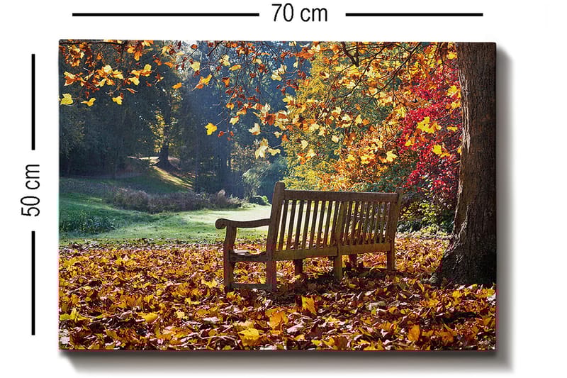 Koristeellinen Canvastaulu 50x70 cm - Monivärinen - Sisustustuotteet - Taulu & taide - Canvas-taulu