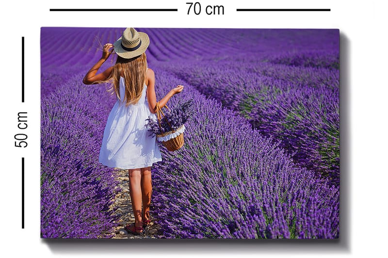 Koristeellinen Canvastaulu 50x70 cm - Monivärinen - Sisustustuotteet - Taulu & taide - Canvas-taulu