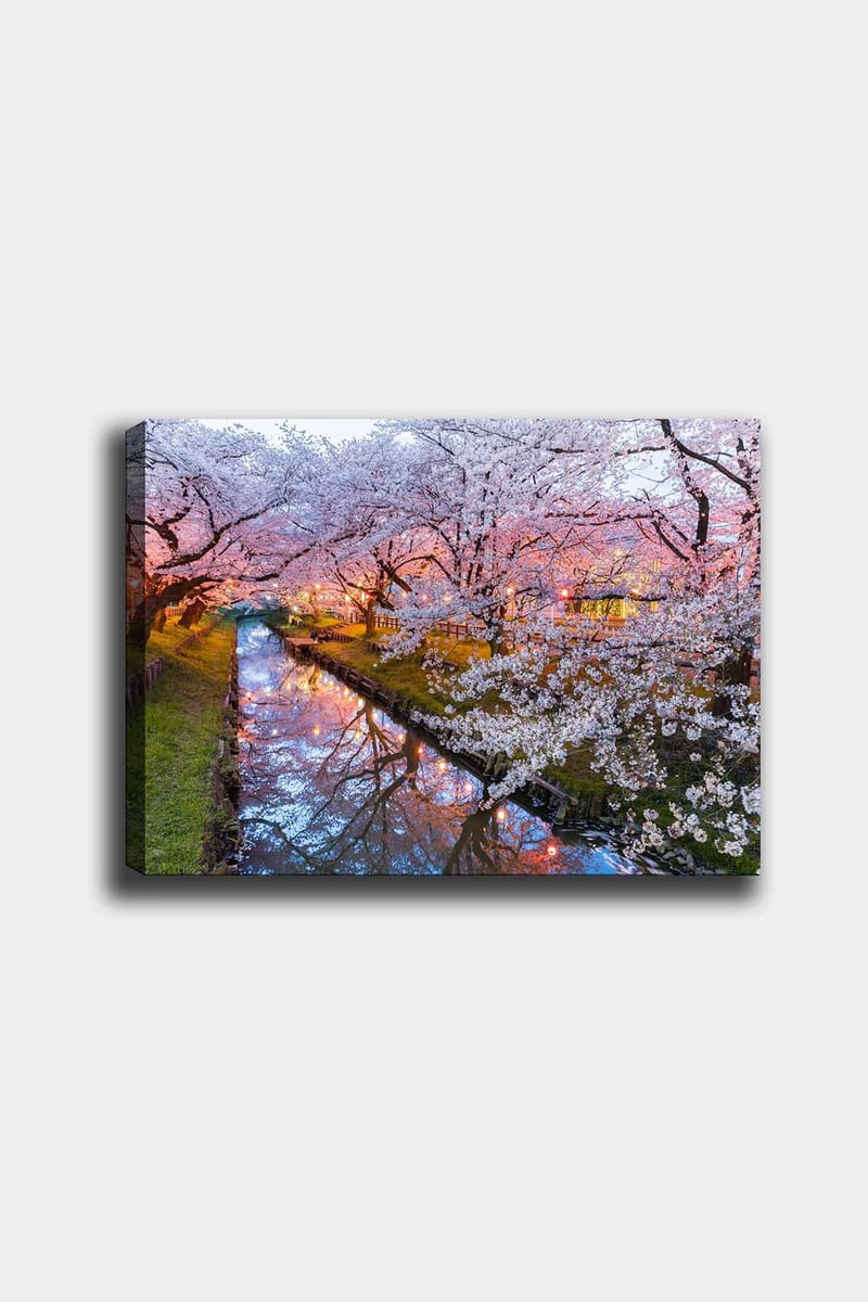 Koristeellinen Canvastaulu 50x70 cm - Monivärinen - Sisustustuotteet - Taulu & taide - Canvas-taulu