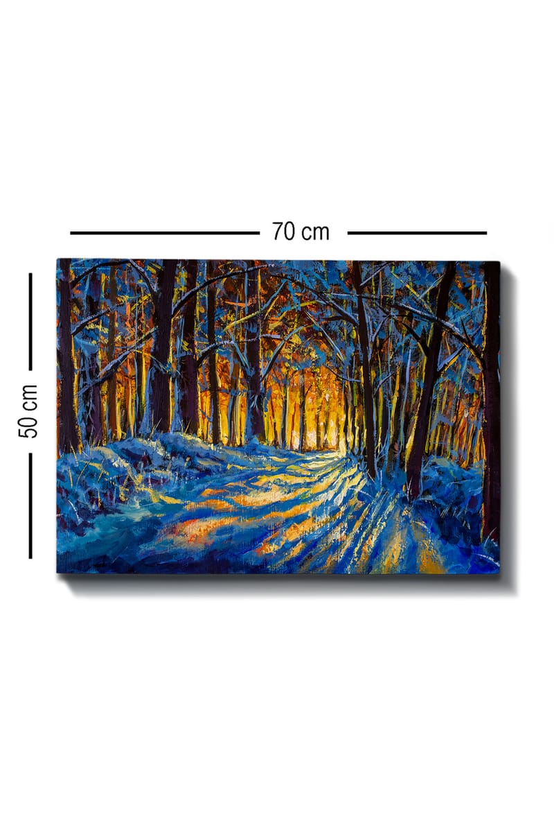 Koristeellinen Canvastaulu 50x70 cm - Monivärinen - Sisustustuotteet - Taulu & taide - Canvas-taulu