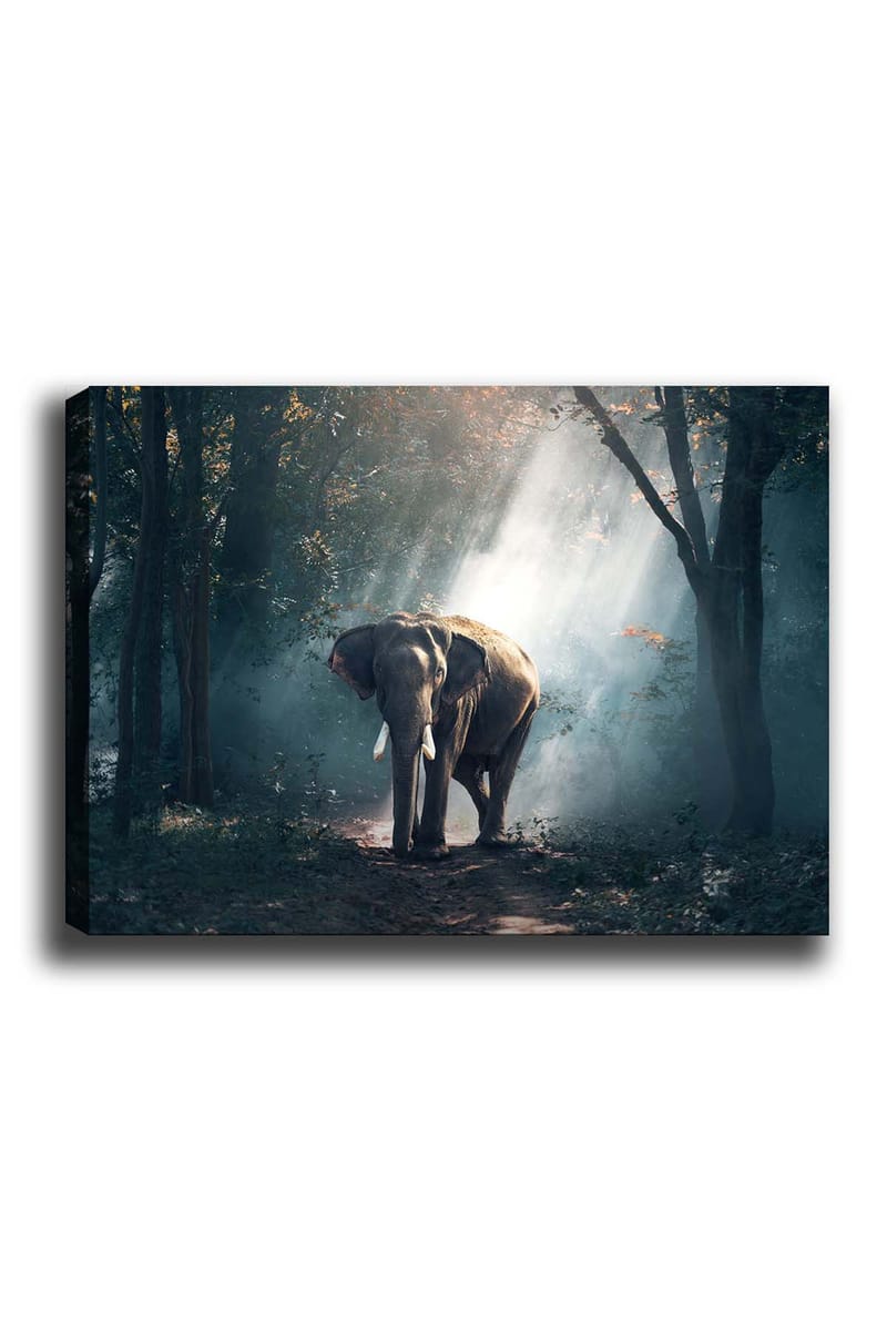 Koristeellinen Canvastaulu 50x70 cm - Monivärinen - Sisustustuotteet - Taulu & taide - Canvas-taulu