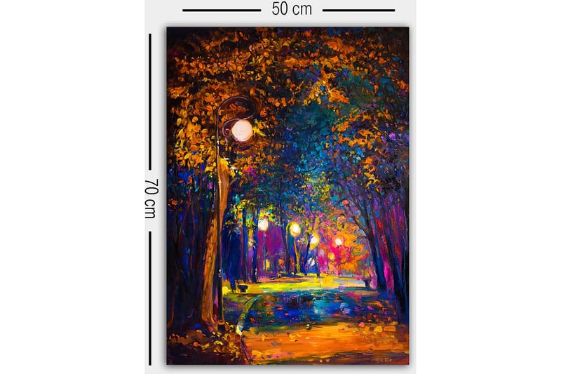 Koristeellinen Canvastaulu 50x70 cm - Monivärinen - Sisustustuotteet - Taulu & taide - Canvas-taulu