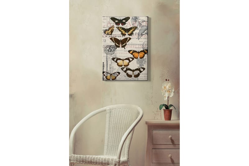 Koristeellinen Canvastaulu 50x70 cm - Monivärinen - Sisustustuotteet - Taulu & taide - Canvas-taulu