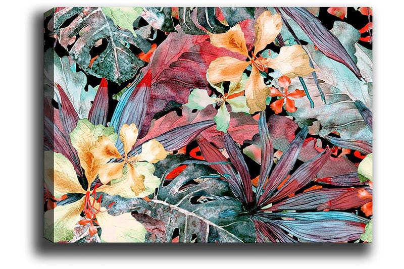 Koristeellinen Canvastaulu 50x70 cm - Monivärinen - Sisustustuotteet - Taulu & taide - Canvas-taulu
