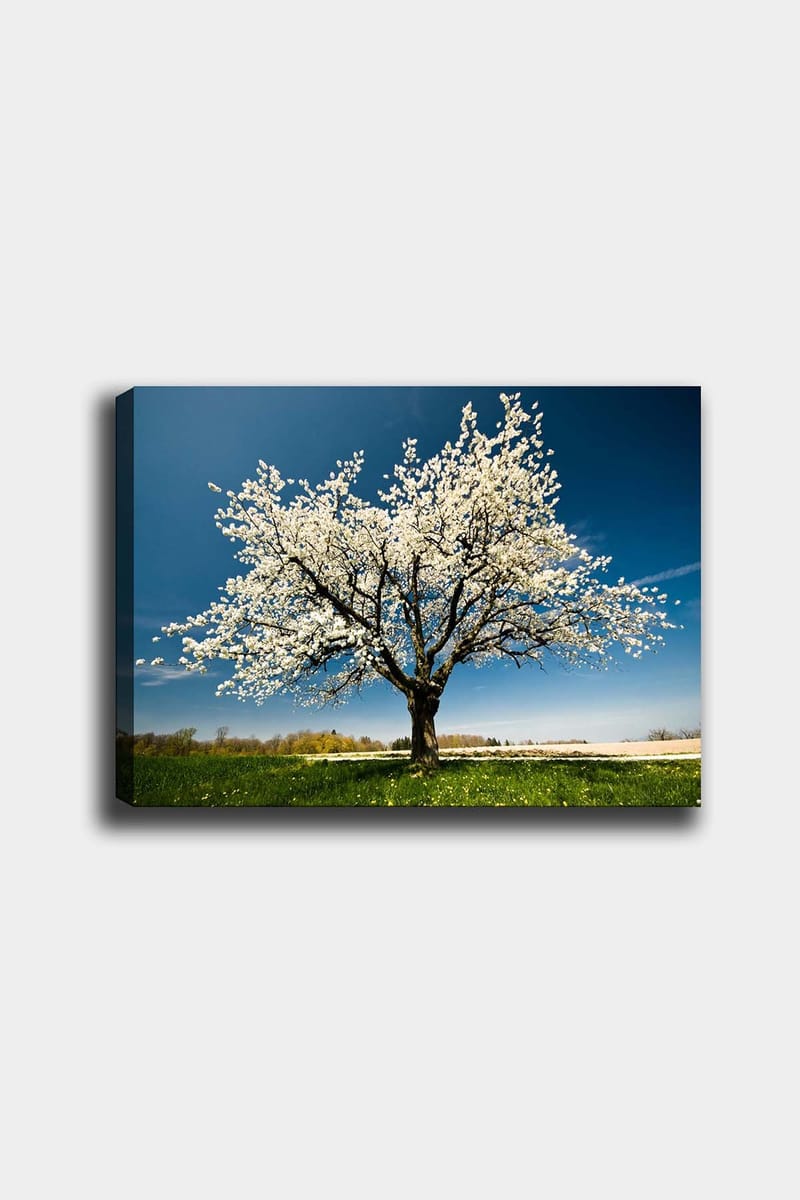 Koristeellinen Canvastaulu 50x70 cm - Monivärinen - Sisustustuotteet - Taulu & taide - Canvas-taulu