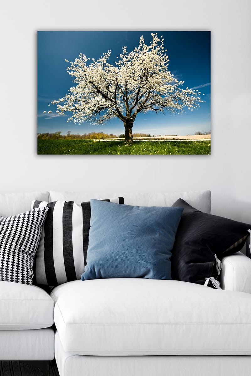 Koristeellinen Canvastaulu 50x70 cm - Monivärinen - Sisustustuotteet - Taulu & taide - Canvas-taulu