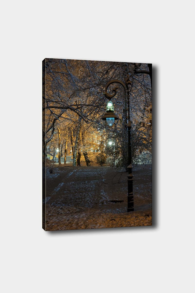 Koristeellinen Canvastaulu 50x70 cm - Monivärinen - Sisustustuotteet - Taulu & taide - Canvas-taulu