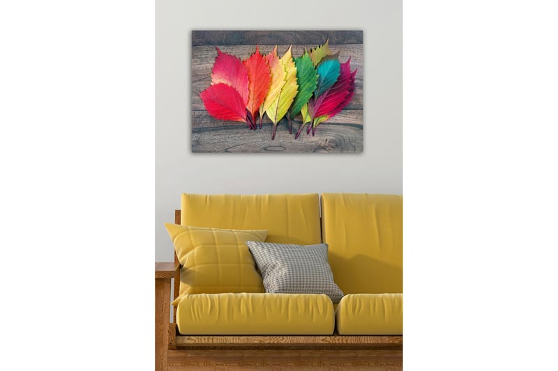 Koristeellinen Canvastaulu 50x70 cm - Monivärinen - Sisustustuotteet - Taulu & taide - Canvas-taulu