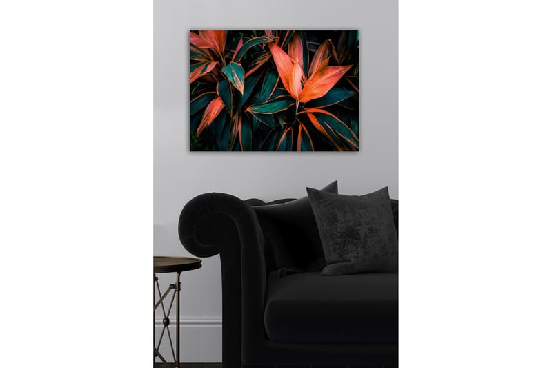 Koristeellinen Canvastaulu 50x70 cm - Monivärinen - Sisustustuotteet - Taulu & taide - Canvas-taulu
