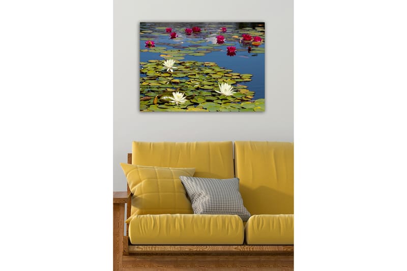 Koristeellinen Canvastaulu 50x70 cm - Monivärinen - Sisustustuotteet - Taulu & taide - Canvas-taulu