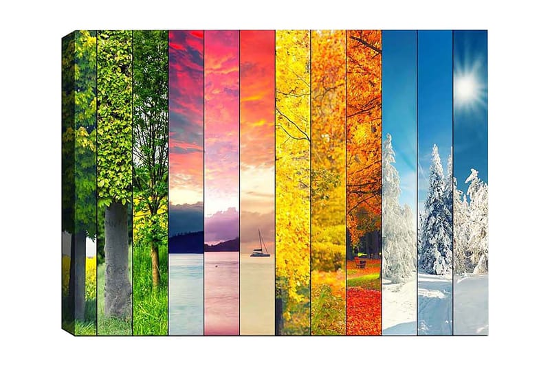 Koristeellinen Canvastaulu 50x70 cm - Monivärinen - Sisustustuotteet - Taulu & taide - Canvas-taulu