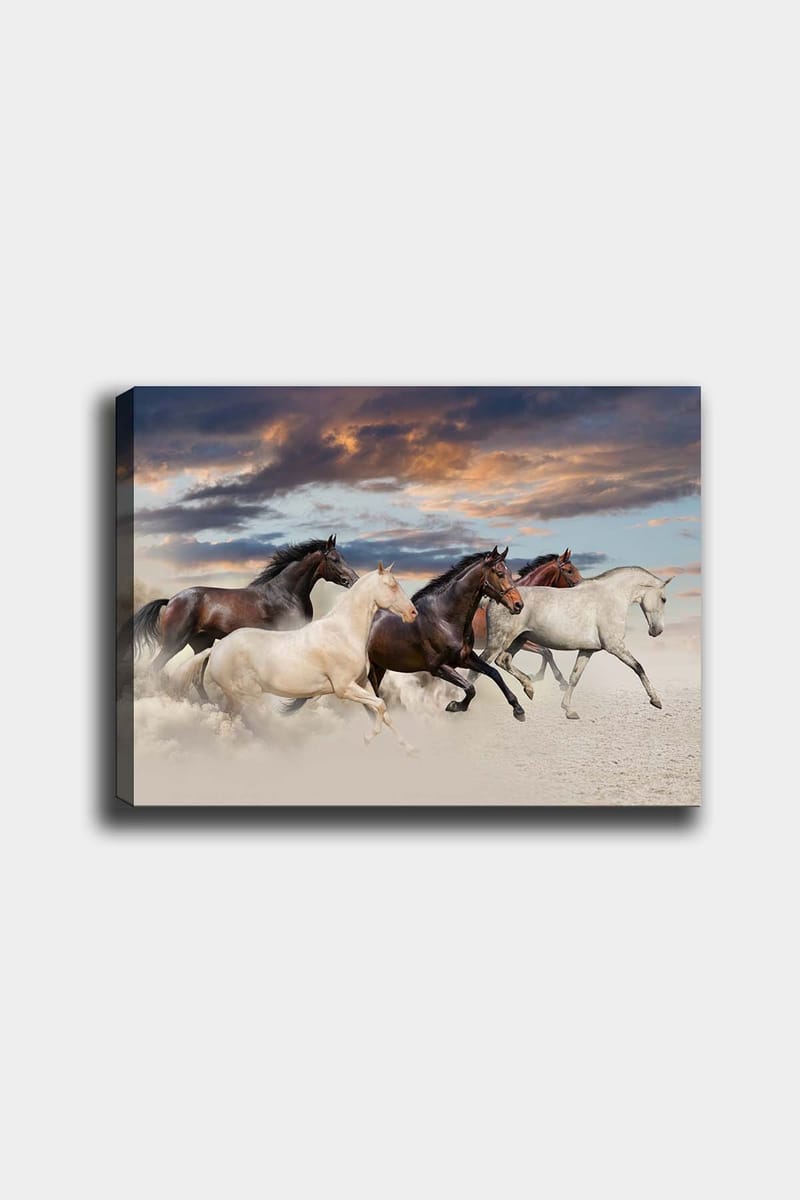 Koristeellinen Canvastaulu 50x70 cm - Monivärinen - Sisustustuotteet - Taulu & taide - Canvas-taulu