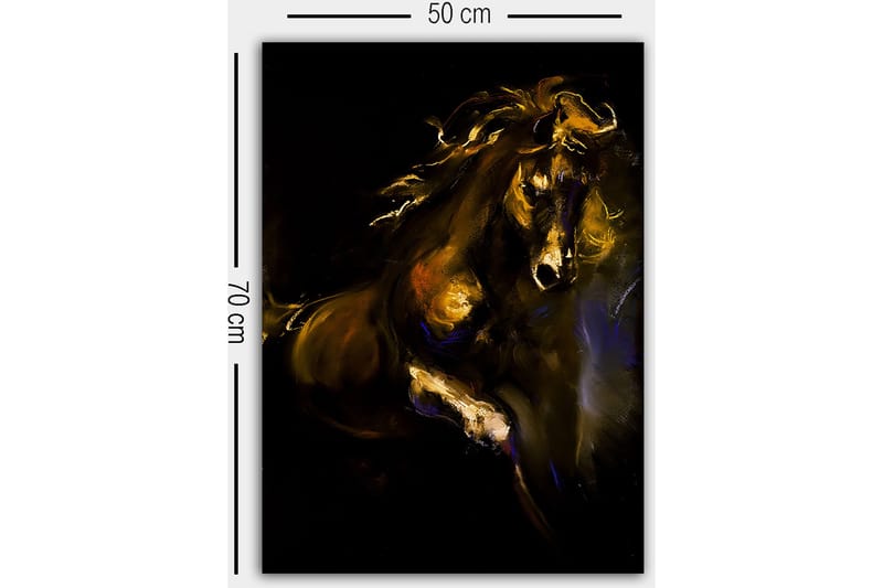 Koristeellinen Canvastaulu 50x70 cm - Monivärinen - Sisustustuotteet - Taulu & taide - Canvas-taulu