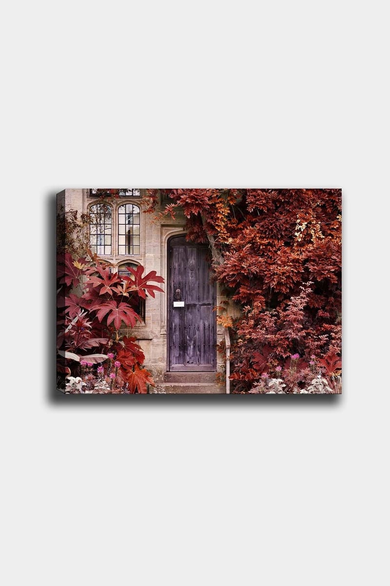 Koristeellinen Canvastaulu 50x70 cm, Monivärinen