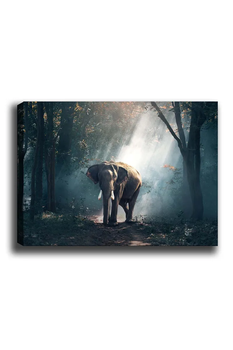 Koristeellinen Canvastaulu 50x70 cm, Monivärinen