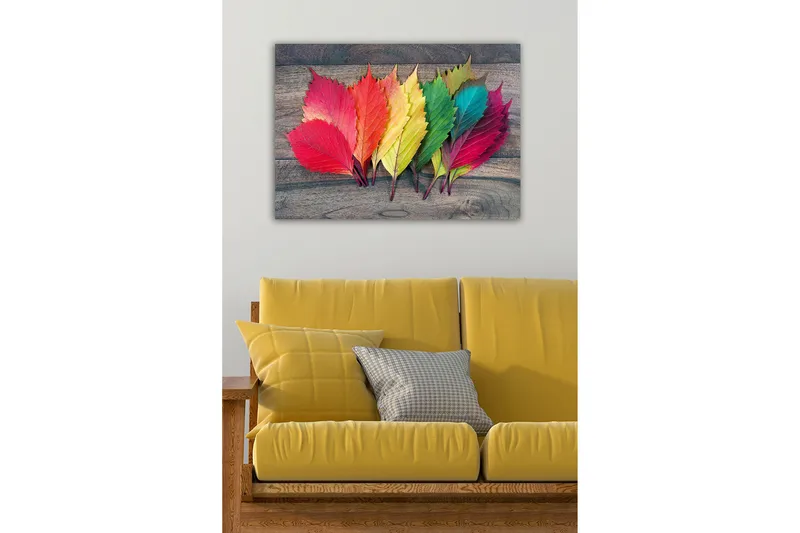 Koristeellinen Canvastaulu 50x70 cm, Monivärinen