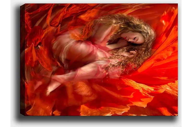 Koristeellinen Canvastaulu 50x70 cm - Monivärinen - Sisustustuotteet - Taulu & taide - Canvas-taulu