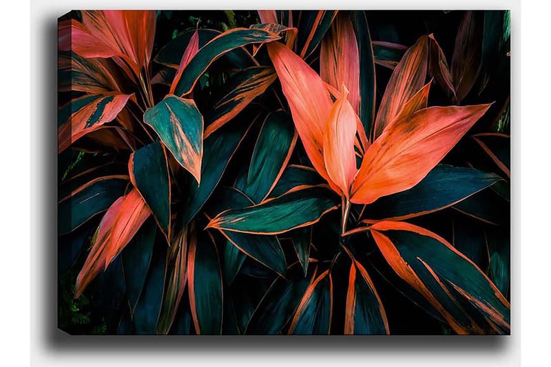 Koristeellinen Canvastaulu 50x70 cm - Monivärinen - Sisustustuotteet - Taulu & taide - Canvas-taulu