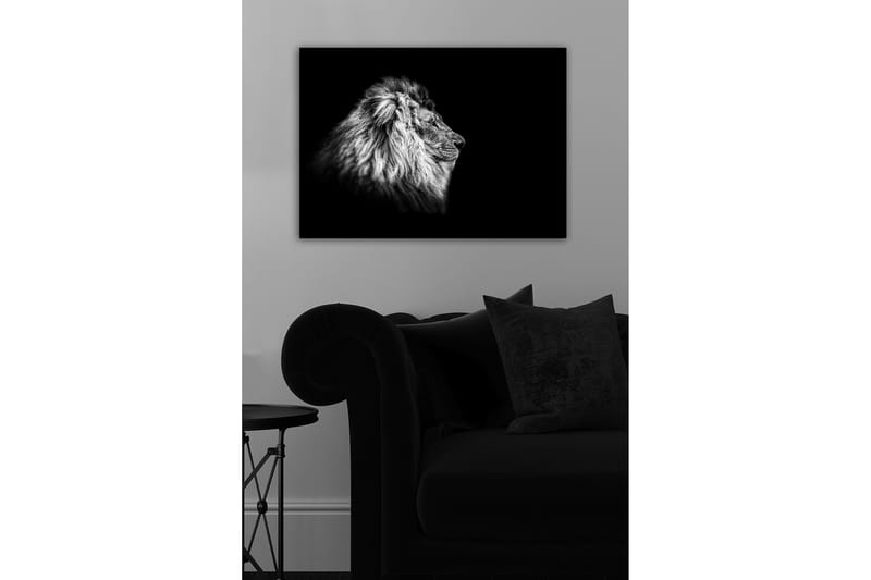 Koristeellinen Canvastaulu 50x70 cm, Monivärinen