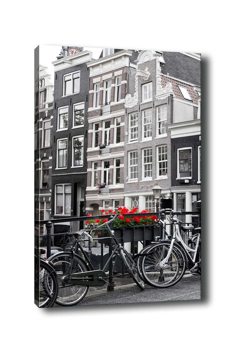 Koristeellinen Canvastaulu 50x70 cm, Monivärinen