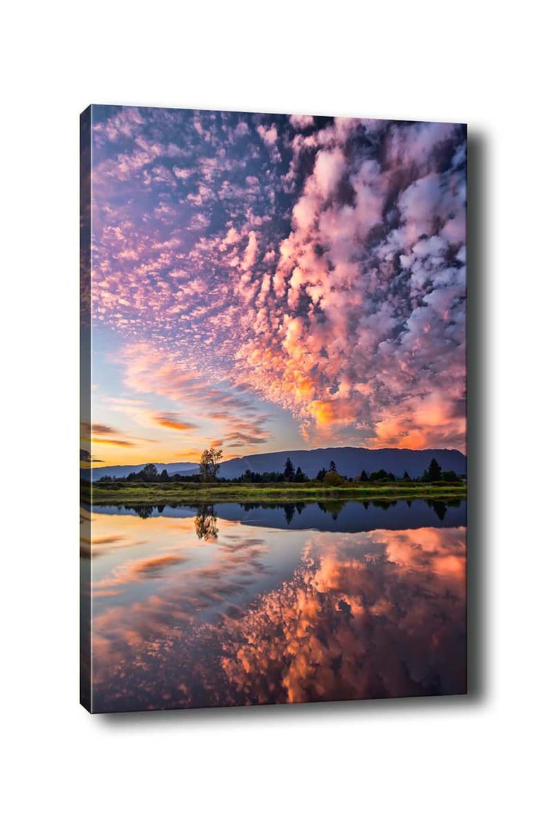 Koristeellinen Canvastaulu 50x70 cm, Monivärinen