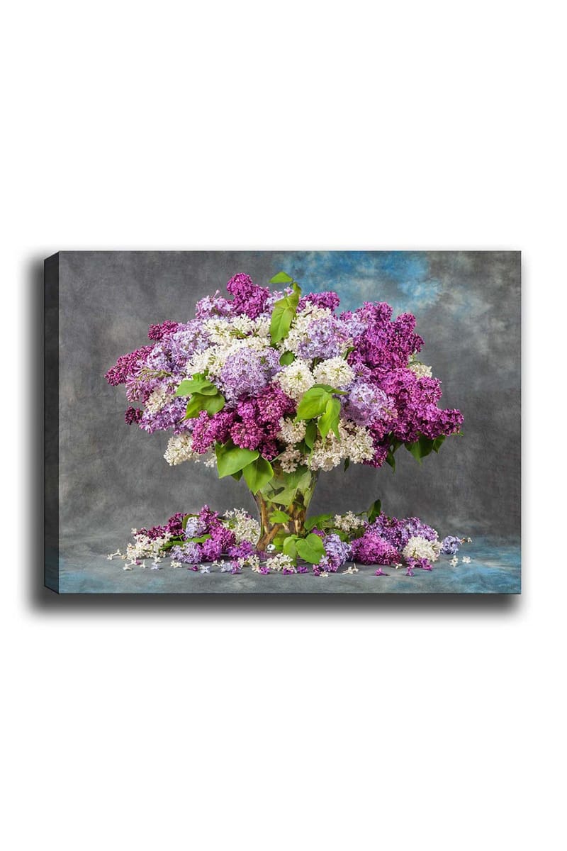 Koristeellinen Canvastaulu 50x70 cm, Monivärinen