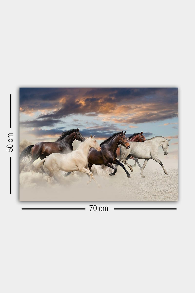 Koristeellinen Canvastaulu 50x70 cm - Monivärinen - Sisustustuotteet - Taulu & taide - Canvas-taulu