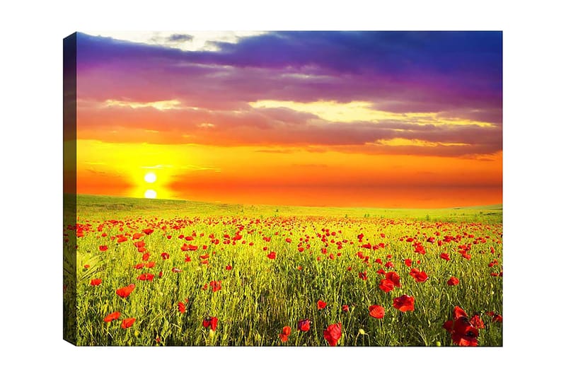 Koristeellinen Canvastaulu 50x70 cm, Monivärinen