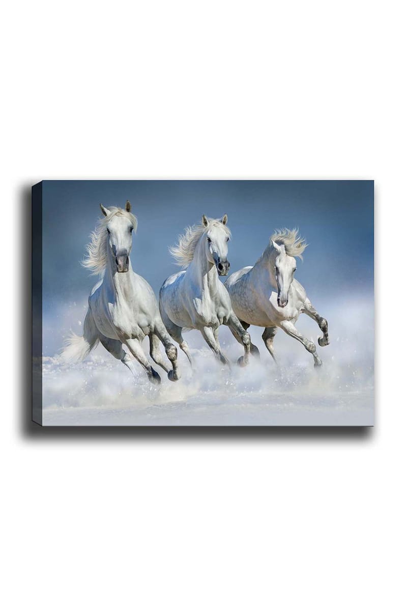 Koristeellinen Canvastaulu 50x70 cm, Monivärinen