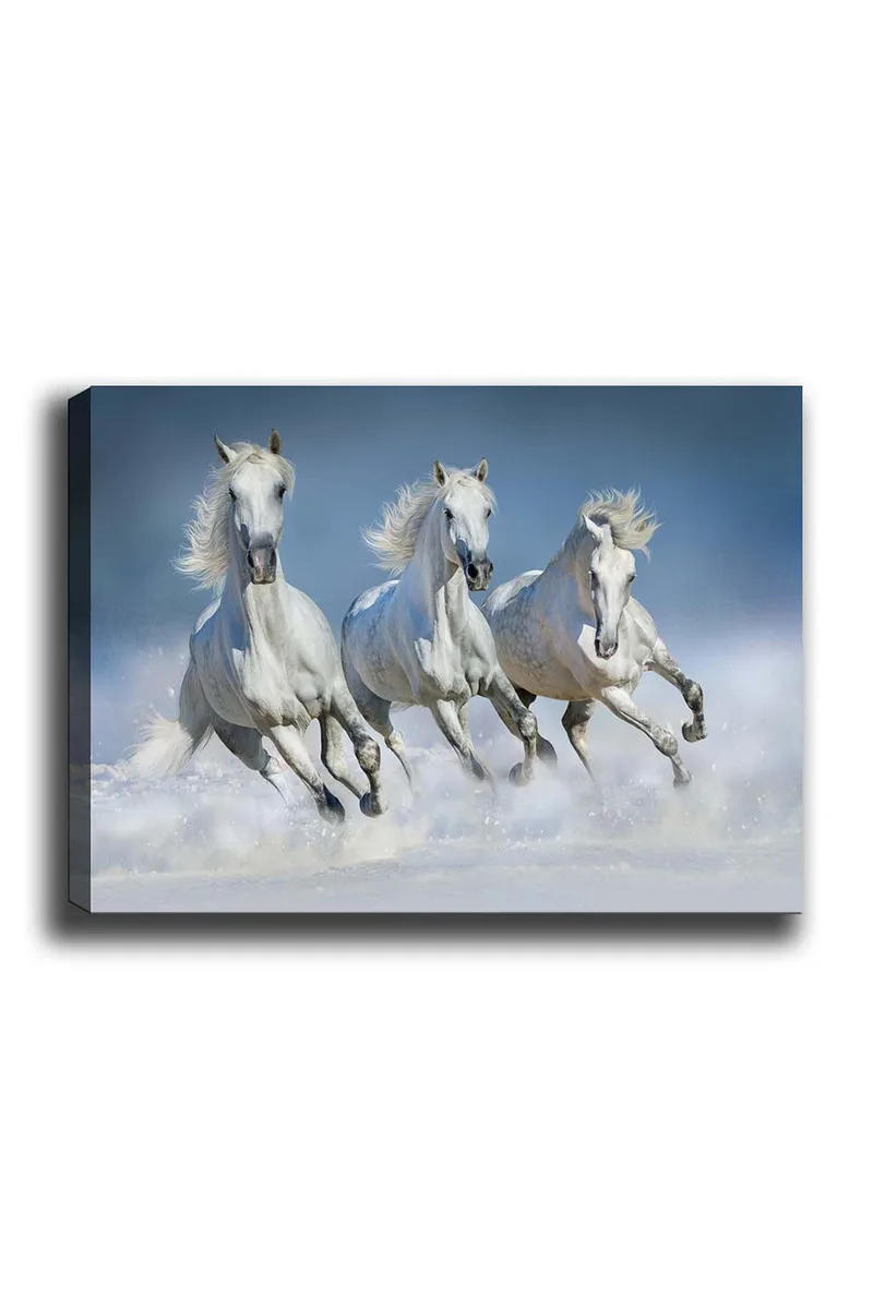 Koristeellinen Canvastaulu 50x70 cm, Monivärinen