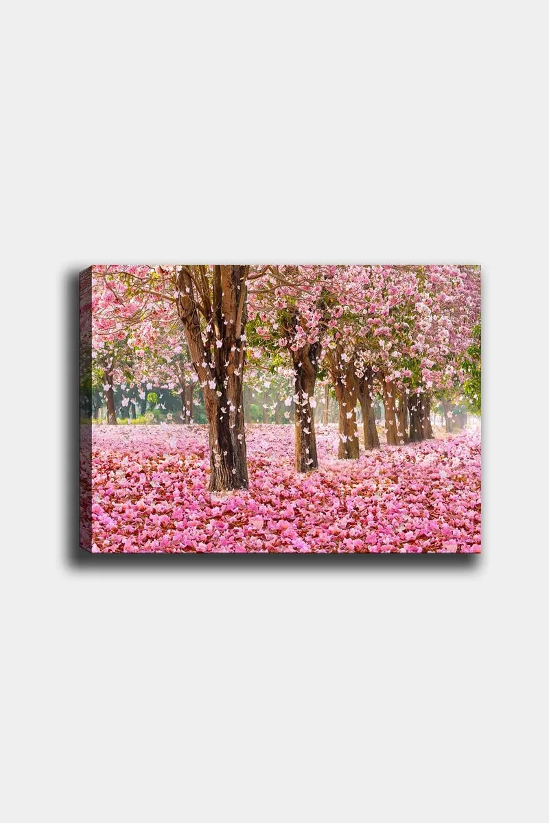 Koristeellinen Canvastaulu 50x70 cm, Monivärinen