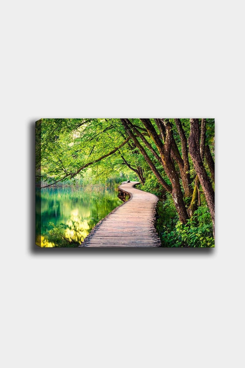 Koristeellinen Canvastaulu 50x70 cm, Monivärinen