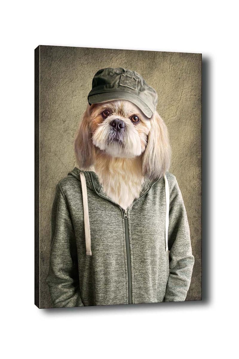 Koristeellinen Canvastaulu 50x70 cm, Monivärinen