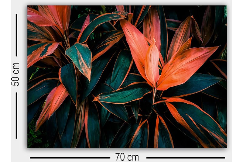 Koristeellinen Canvastaulu 50x70 cm - Monivärinen - Sisustustuotteet - Taulu & taide - Canvas-taulu