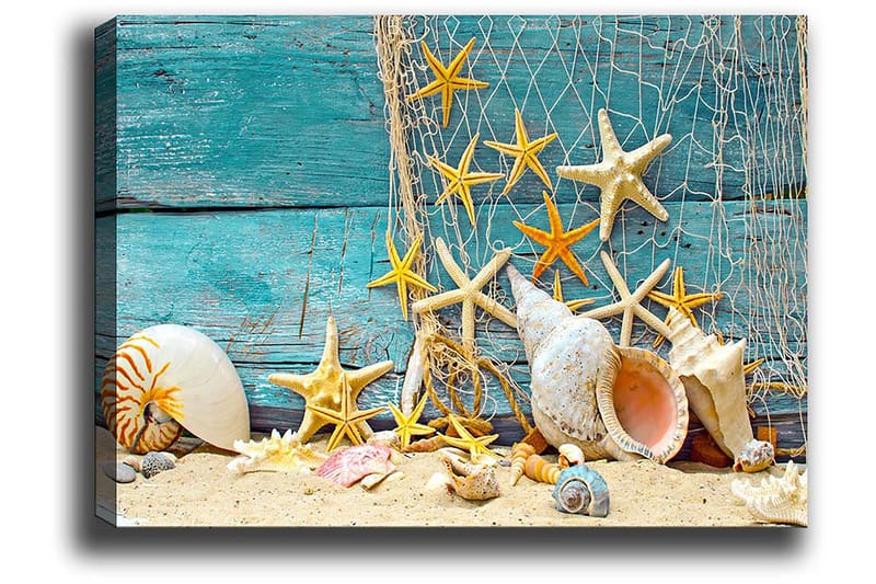 Koristeellinen Canvastaulu 50x70 cm, Monivärinen