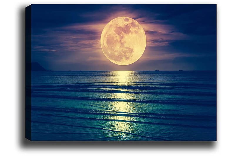 Koristeellinen Canvastaulu 50x70 cm - Monivärinen - Sisustustuotteet - Taulu & taide - Canvas-taulu