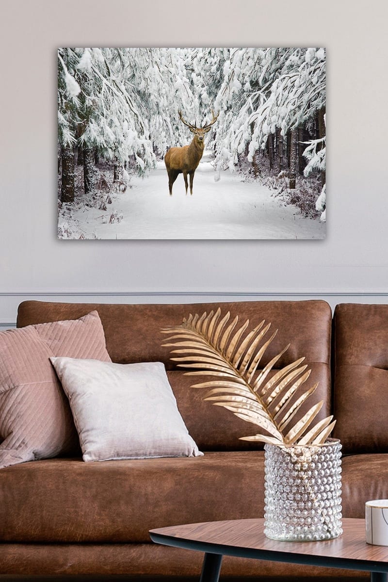 Koristeellinen Canvastaulu 50x70 cm - Monivärinen - Sisustustuotteet - Taulu & taide - Canvas-taulu