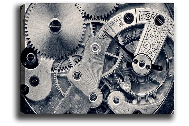 Koristeellinen Canvastaulu 50x70 cm, Monivärinen