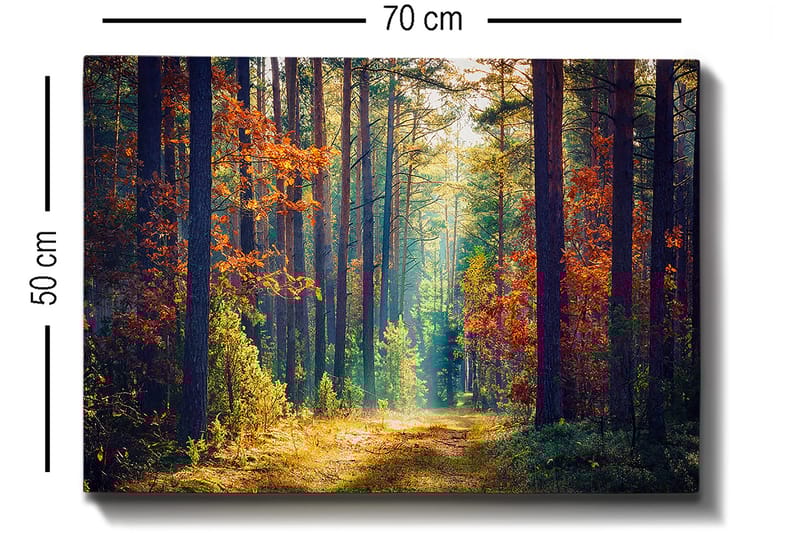 Koristeellinen Canvastaulu 50x70 cm - Monivärinen - Sisustustuotteet - Taulu & taide - Canvas-taulu