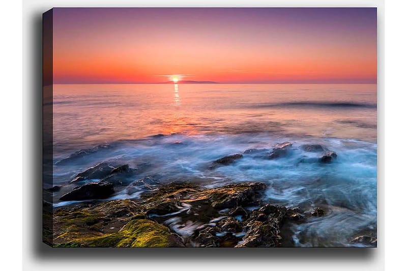 Koristeellinen Canvastaulu 50x70 cm - Monivärinen - Sisustustuotteet - Taulu & taide - Canvas-taulu