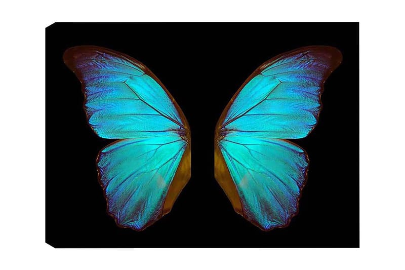 Koristeellinen Canvastaulu 50x70 cm, Monivärinen