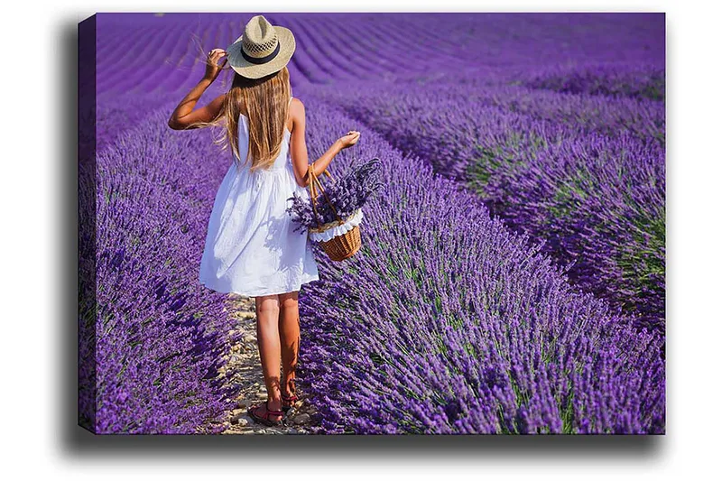 Koristeellinen Canvastaulu 50x70 cm - Monivärinen - Sisustustuotteet - Taulu & taide - Canvas-taulu