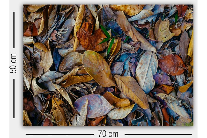 Koristeellinen Canvastaulu 50x70 cm - Monivärinen - Sisustustuotteet - Taulu & taide - Canvas-taulu