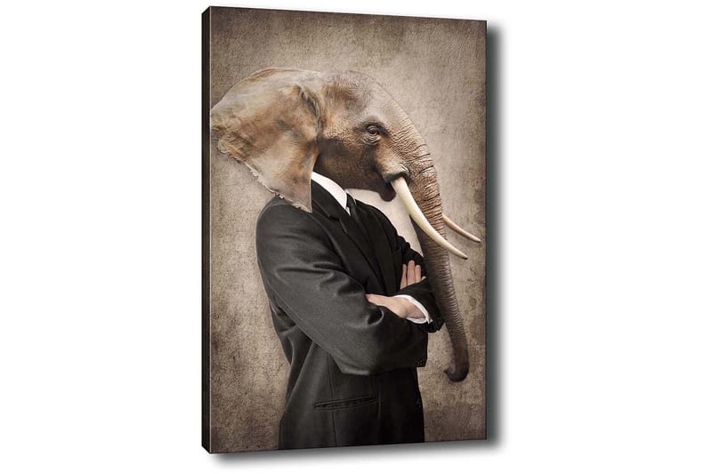 Koristeellinen Canvastaulu 50x70 cm - Monivärinen - Sisustustuotteet - Taulu & taide - Canvas-taulu