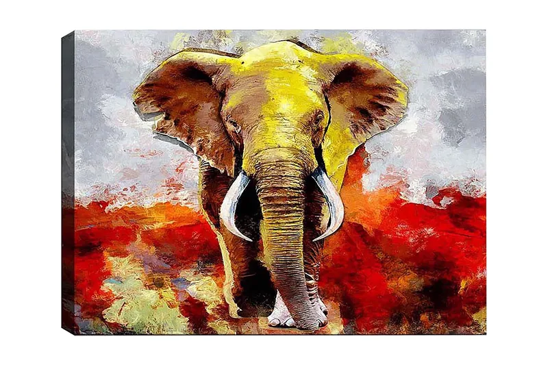 Koristeellinen Canvastaulu 50x70 cm, Monivärinen