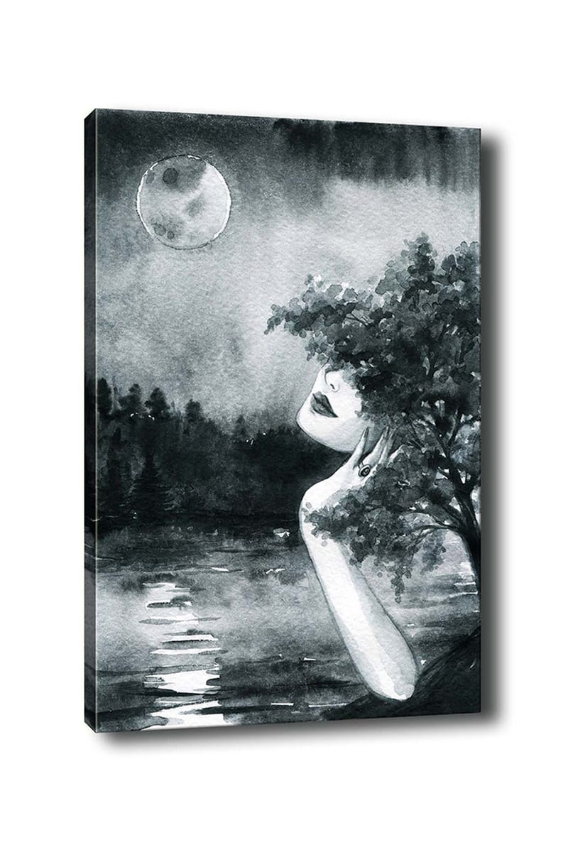 Koristeellinen Canvastaulu 50x70 cm, Monivärinen