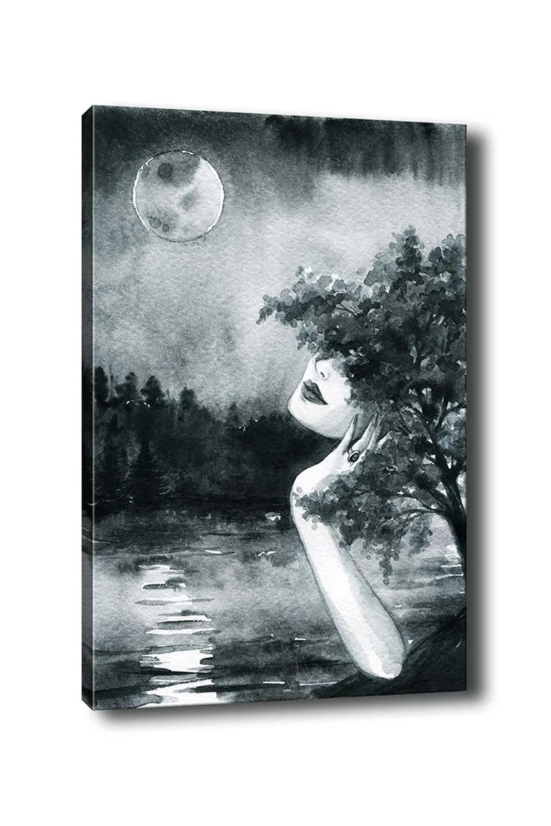 Koristeellinen Canvastaulu 50x70 cm, Monivärinen